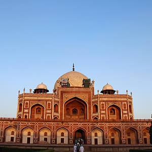 Icons of India: The Taj, Tigers & Beyond