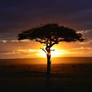 Kenya: A Classic Safari with Nairobi & Amboseli